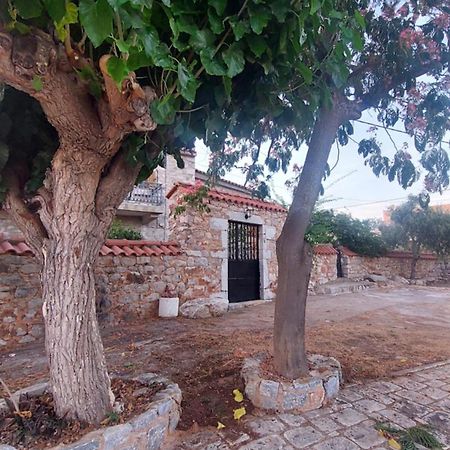 200 Year Old 'Kamara Suite' With Private Garden Pyrgos Dirou Exterior photo